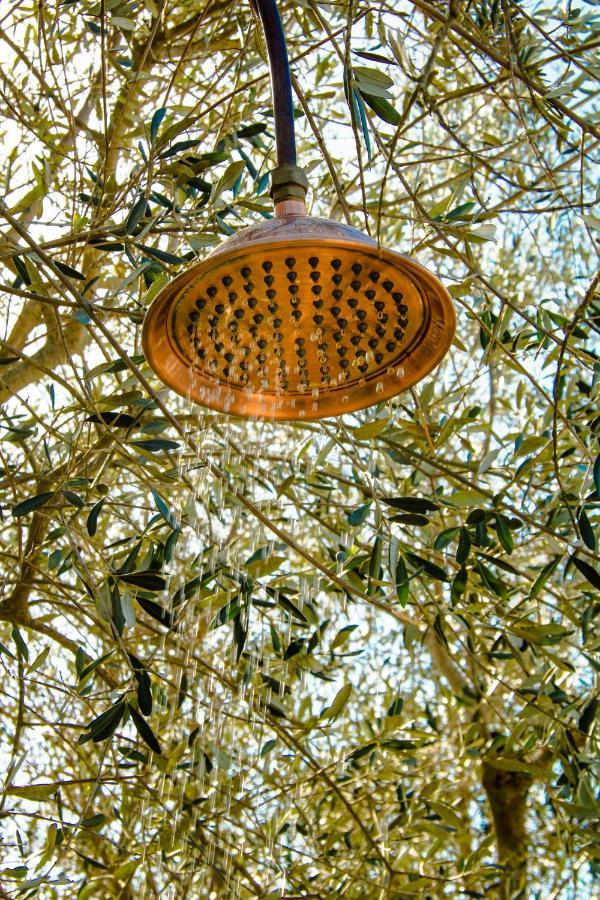 2 Cuori E 1 Yurta Glamping In Tuscany - Adults Only Asciano Exterior foto